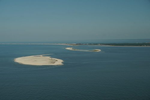 DSC03545