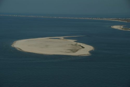 DSC03547