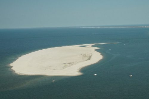 DSC03583- Pelican Island East