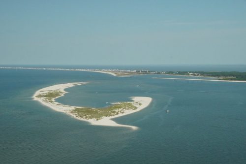 DSC03584- Pelican Island
