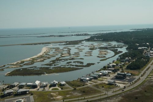 DSC03587- DI Airport Marsh Restoration