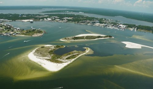 DSC02228- Robinson Island Shoreline Restoration