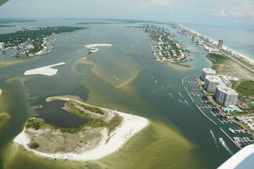 DSC02236- Robinson Island Restoration