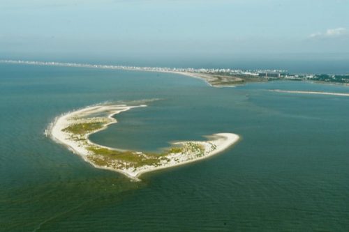 DSC03073- Pelican Island