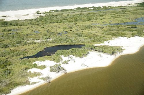 DSC03101- Horn Island