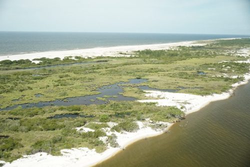 DSC03102- Horn Island