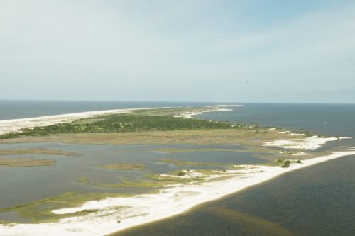 DSC03109- Horn Island