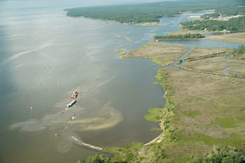 DSC03169 (Salt Air Restoration at Fowl River
